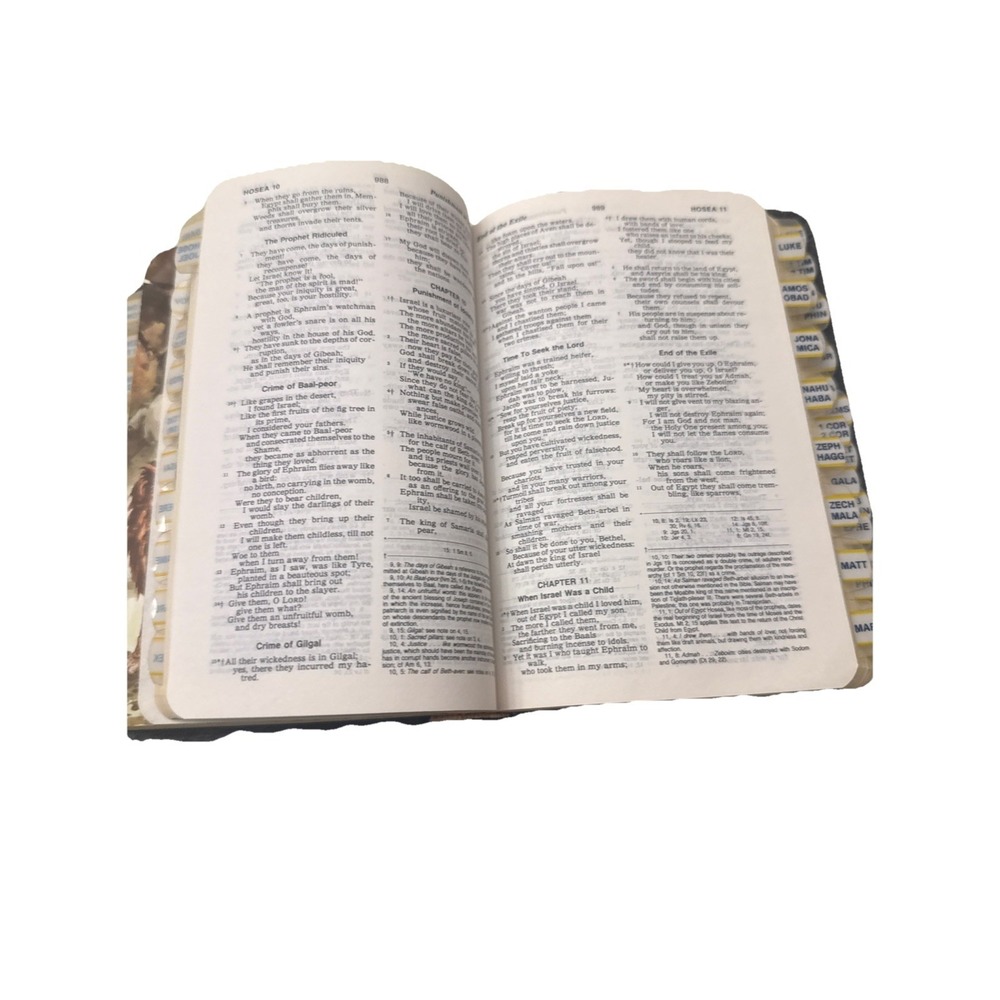1971 New American Bible NAB‎ Catholic Edition Thomas Nelson 9023 Illustr, Tabed - Picture 4 of 7